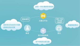 互联网信息服务的演进与影响